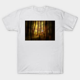 The Enchanted Forest T-Shirt